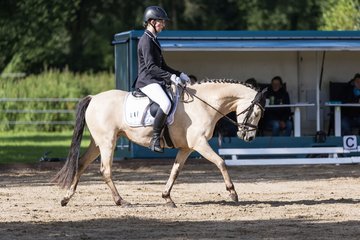 Bild 500 - Pony Akademie Turnier